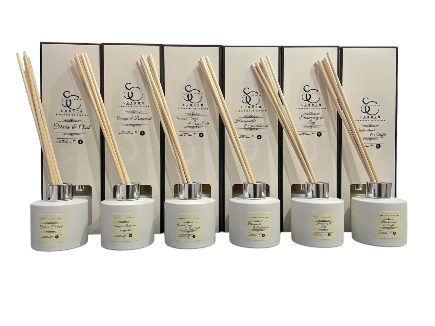 Honeysuckle & Sandalwood 100ml Reed Diffuser | Warm & Inviting Aroma