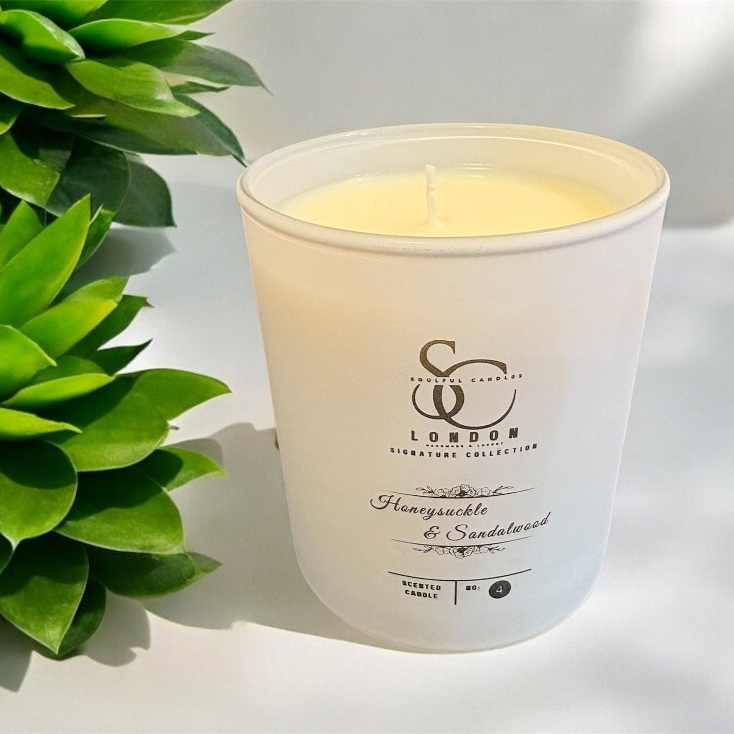 Honeysuckle & Sandalwood: A soothing mix of floral honeysuckle and earthy sandalwood, evoking a sense of relaxation and comfort.