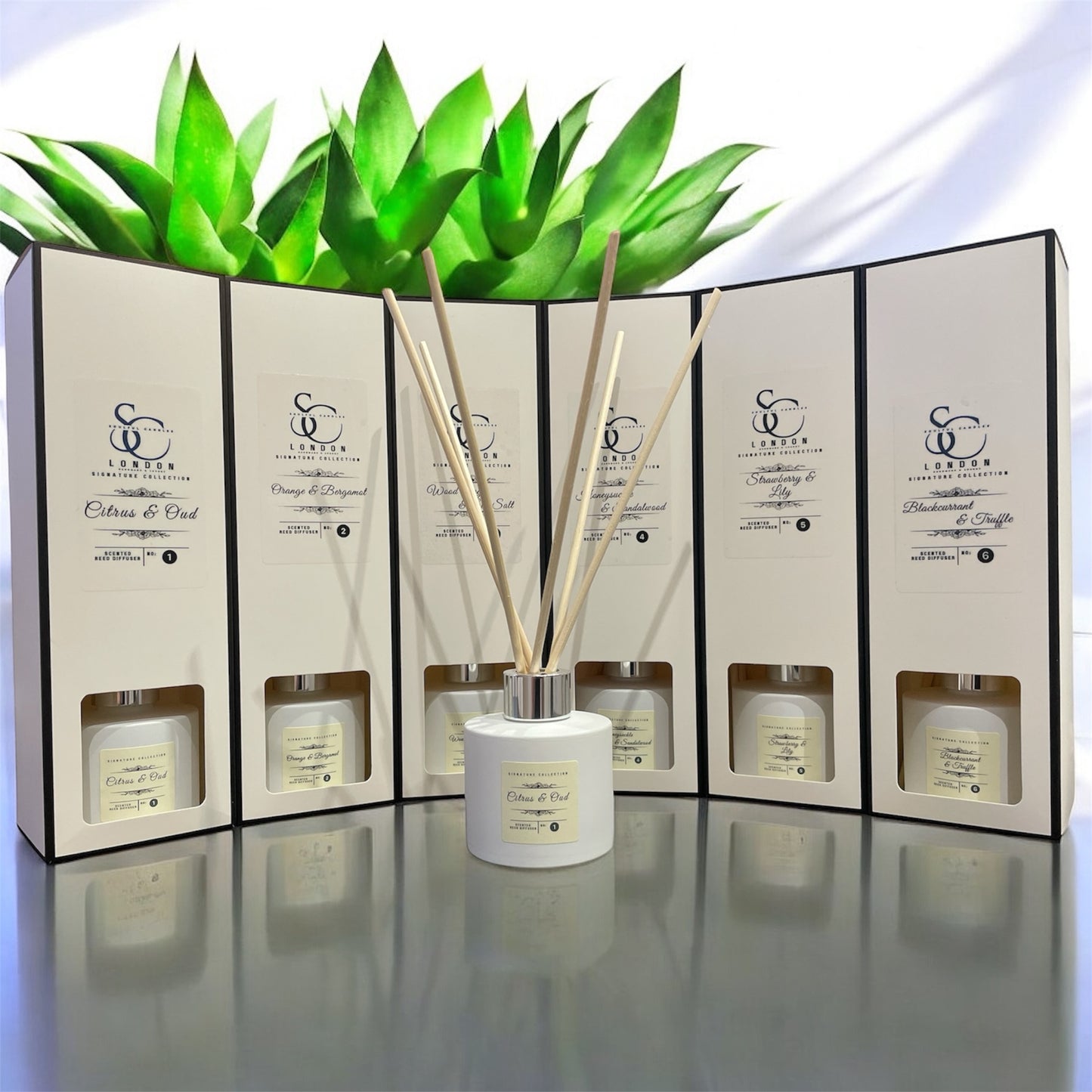 Honeysuckle & Sandalwood 100ml Reed Diffuser | Warm & Inviting Aroma