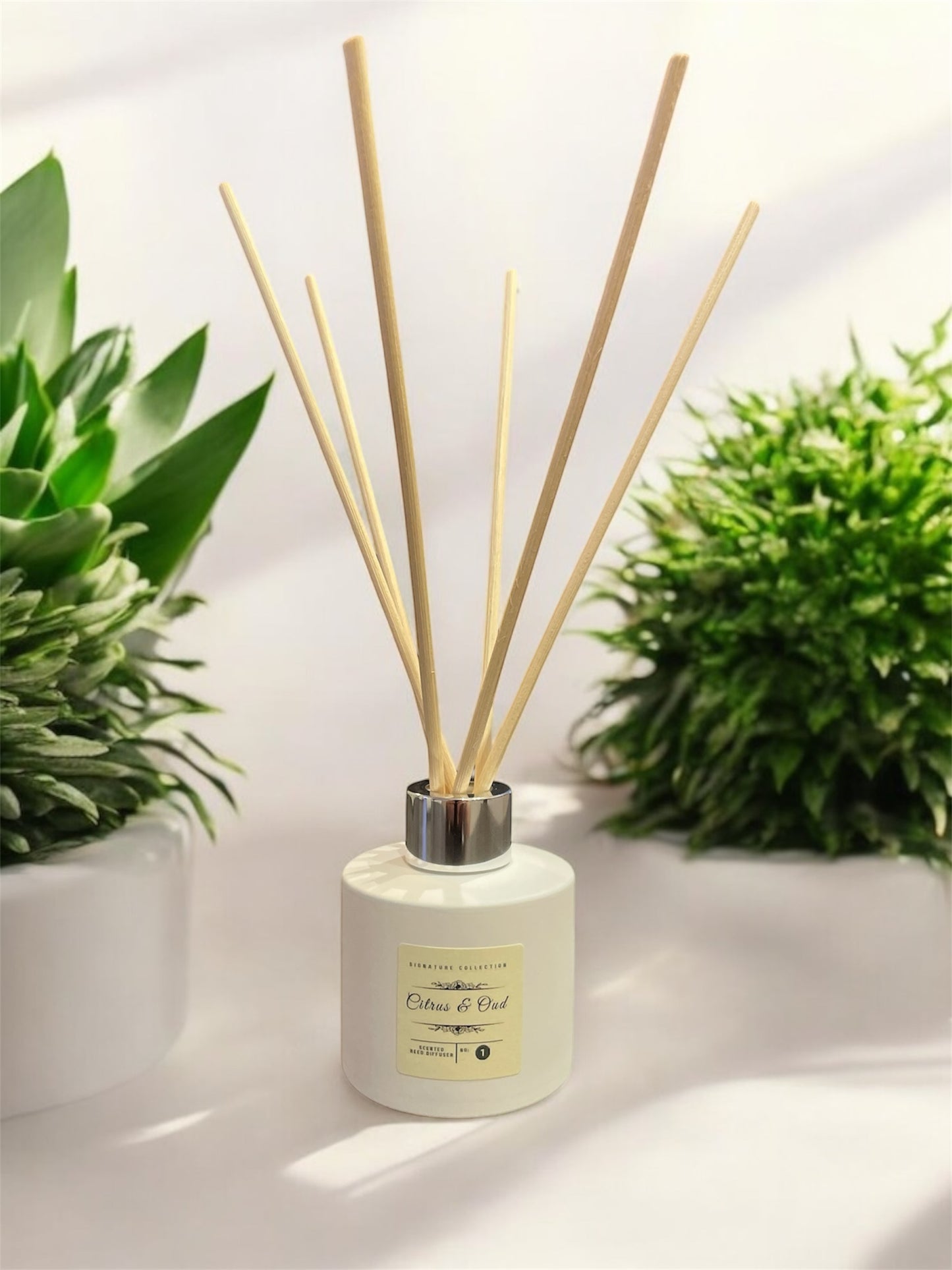 Citrus & Oud 100ml Reed Diffuser | Bold & Exotic Luxury Scent