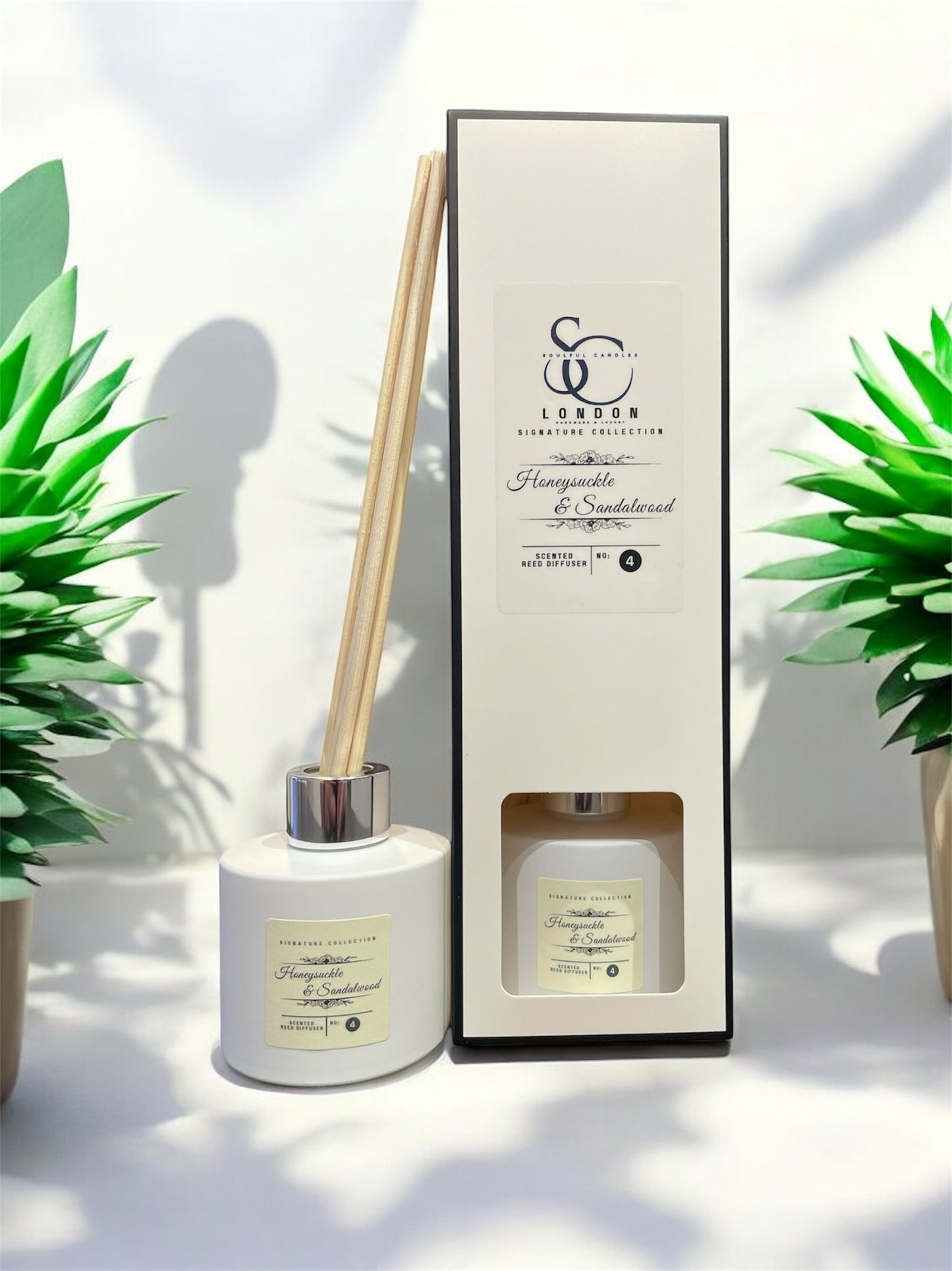 Honeysuckle & Sandalwood 100ml Reed Diffuser | Warm & Inviting Aroma