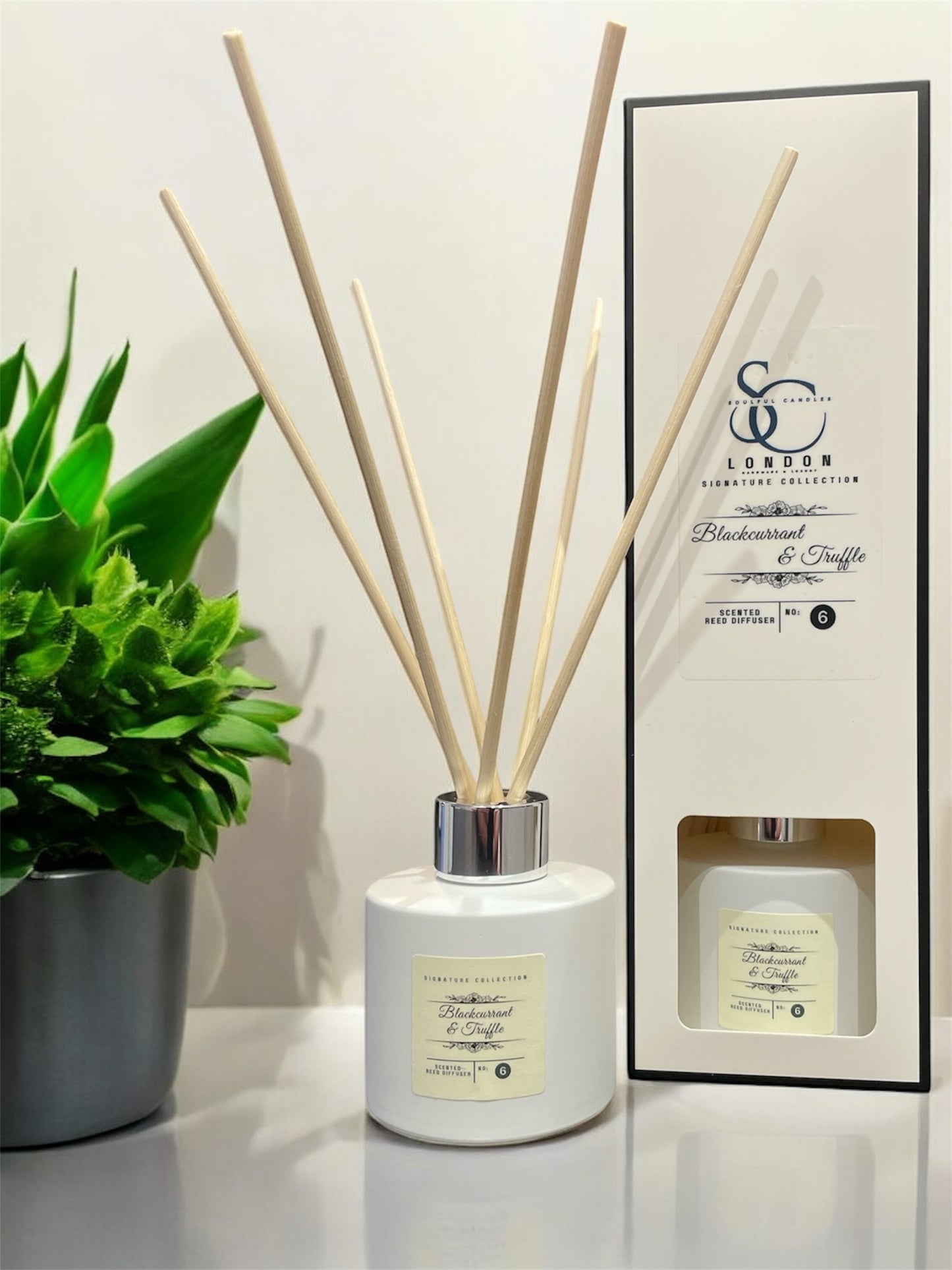 Blackcurrant & Truffle 100ml Reed Diffuser | Luxury Decadent Long-Lasting Fragrance