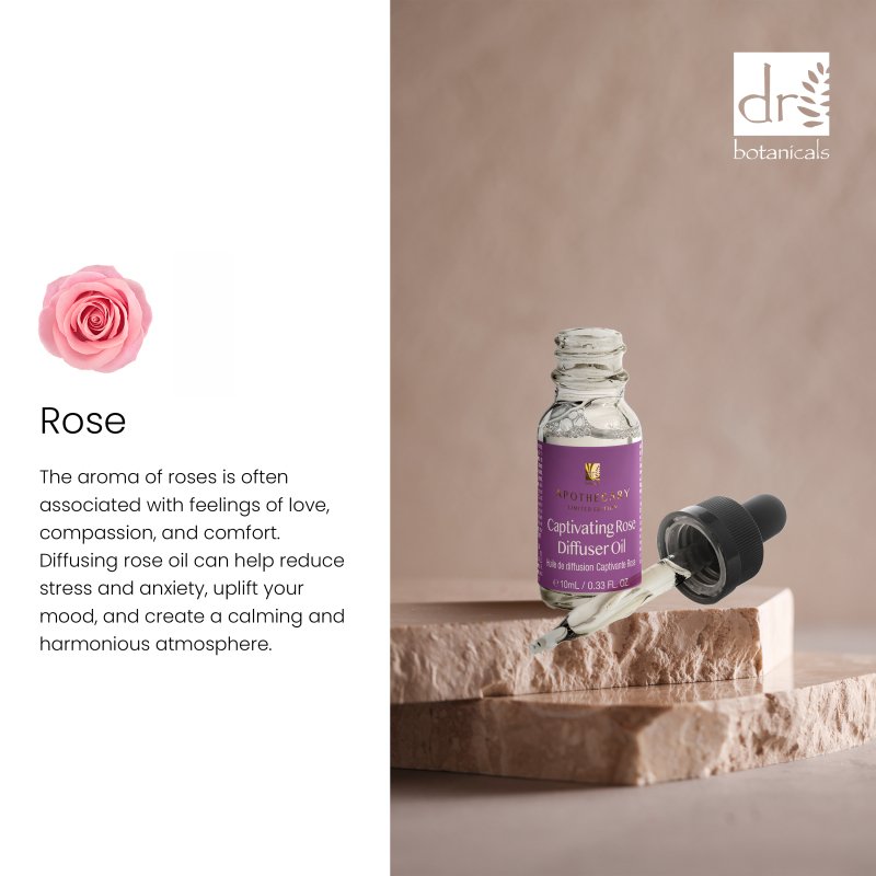 Dr Botanicals Captivating Rose Diffuser Oil – 10ml