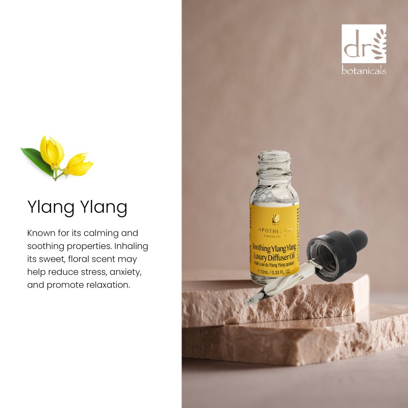 Soothing Ylang Ylang Luxury Diffuser Oil – 10ml | Dr Botanicals